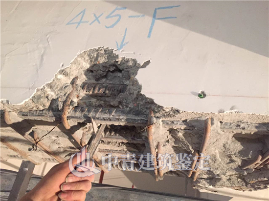 廠房災損鑒定科學的了解維修加固可行性